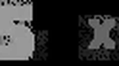 灰熊半程易帅，成联盟第二中途换帅球队